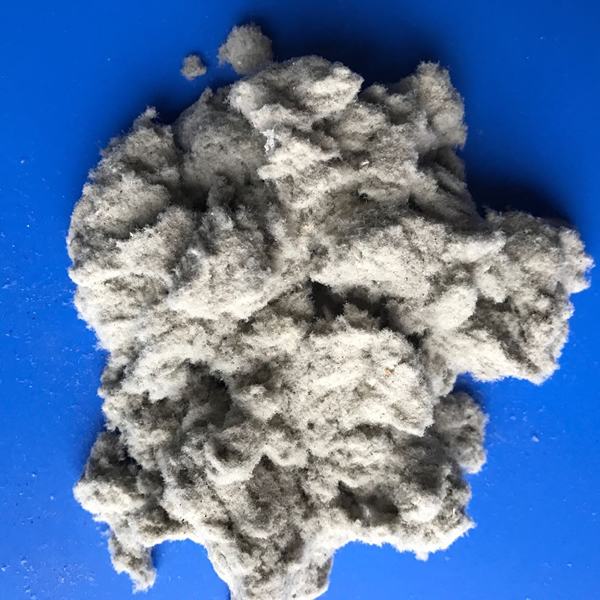 ľ������ά